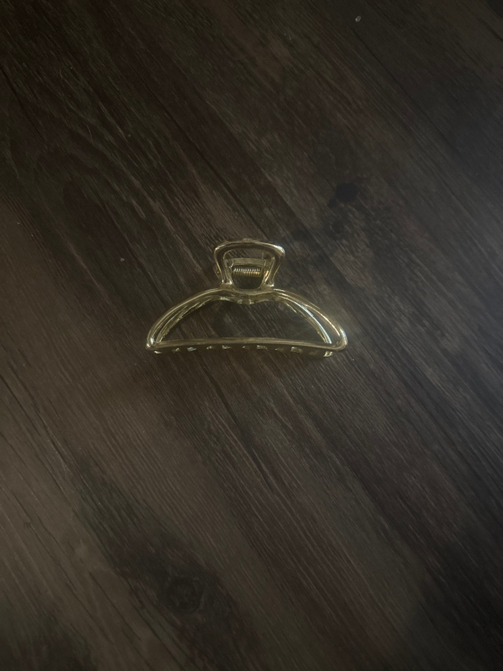 metal claw clip
